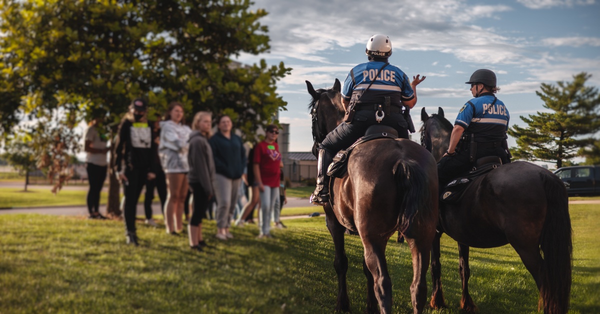 Madison Wi Police Incident Reports